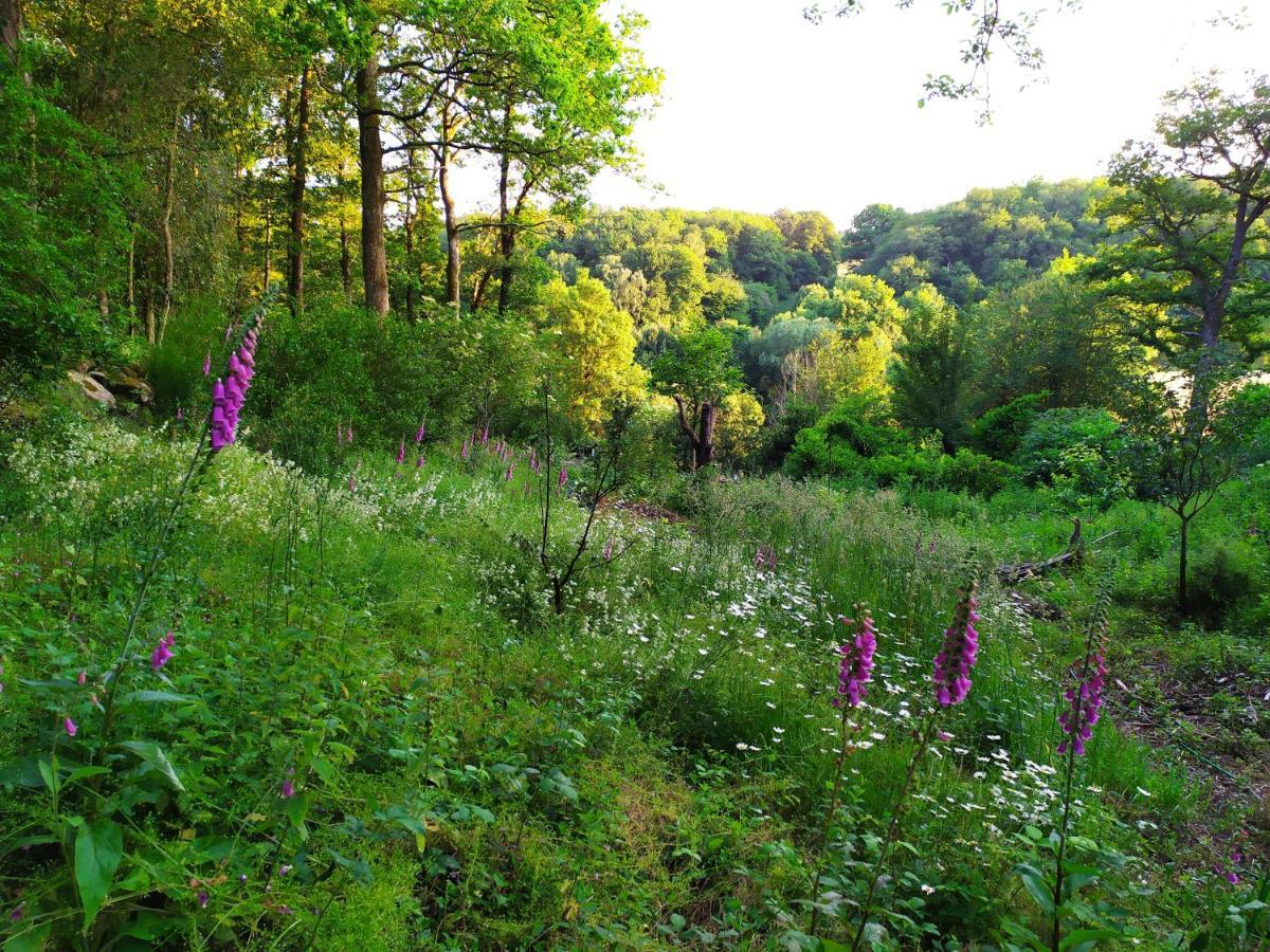 Les Gites Des Beaux Chenes Mortagne-sur-Sevre Luaran gambar