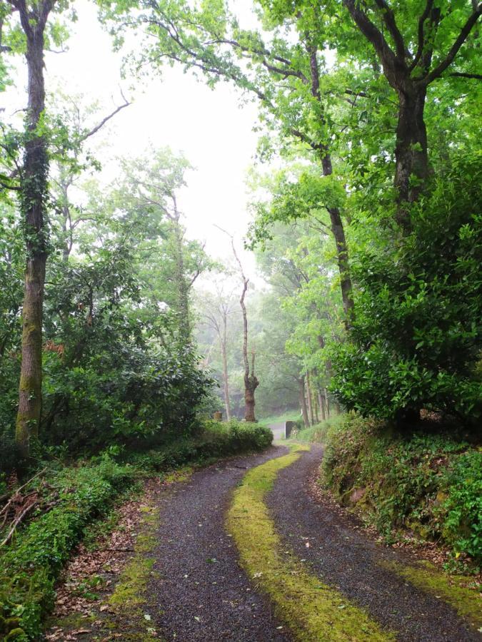 Les Gites Des Beaux Chenes Mortagne-sur-Sevre Luaran gambar
